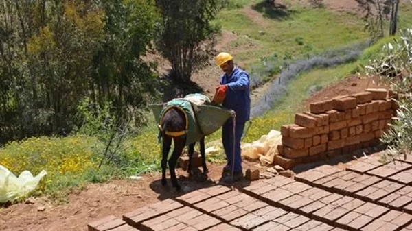 Construction écologique en briques de terre crue avec âne - Éco-lodge Atlas Ecosite Maroc