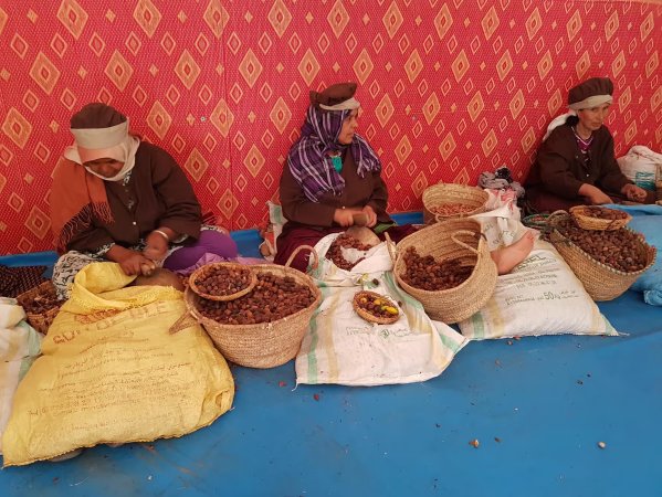 🌿 Sur la route d'Atlas Ecosite : à la découverte des coopératives d'argan de Lalla Takerkoust