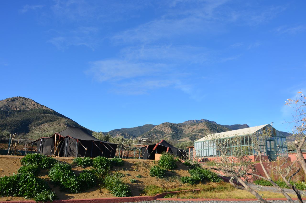 Bioklimatisches Gewächshaus und Bio-Gemüsegärten - Atlas Ecosite Marokko
